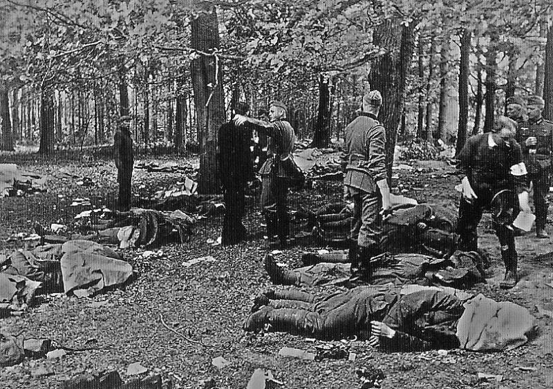 Identifying killed German and Dutch soldiers at the Grebbenberg