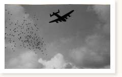 RAF Bomber Command Lancasters Operation Manna day 8 Waalhaven