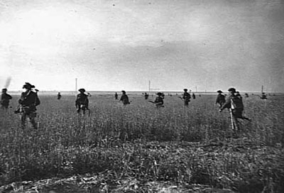 3rd Royal Tank Regiment Failed to capture Hill 113