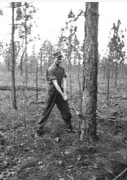 506 Parachute Infantry Regiment Easy Company Zetten