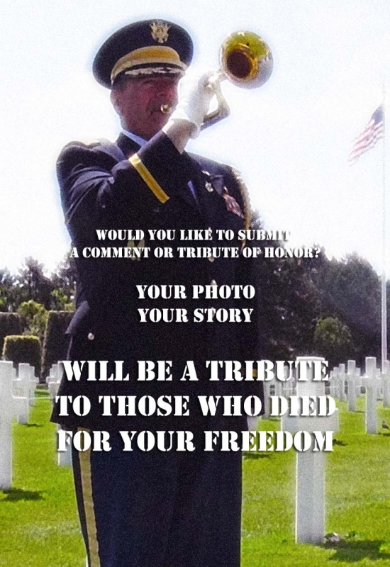 Technical Sergeant Miller William H (Service #: 20341077) died on 1944-07-11
