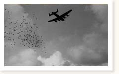 RAF Bomber Command Lancasters Operation Manna day 5 Waalhaven