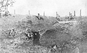 101st Airborne Division (USA) Incredible!