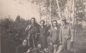 101st Airborne Division (USA) crashed at Bladel