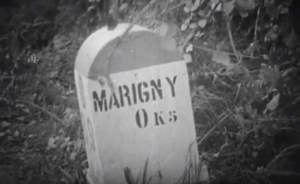 9 Infantry Division (USA) at Marigny 1944-07-27/28