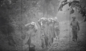 4 Infantry Division (USA) at Marigny 1944-07-25