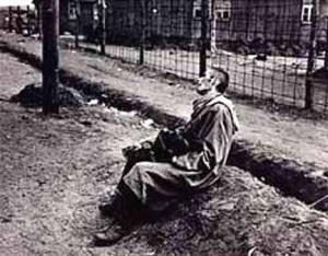 Bergen Belsen