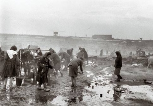 Bergen Belsen