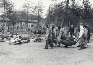 Bergen Belsen