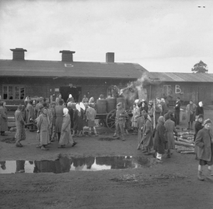 Bergen Belsen