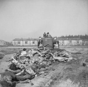 Bergen Belsen