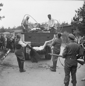 Bergen Belsen