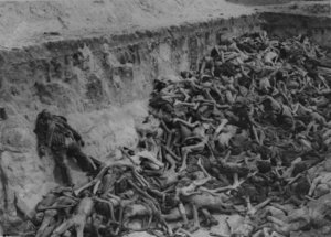 Bergen Belsen