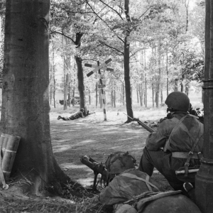 1st Airborne Division (UK) landing at Wolfheze