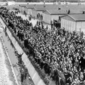 506 Parachute Infantry Regiment Easy Company Liberation of Dachau
