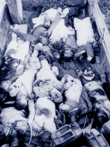 Massacre Kommeno by the First Alpenjäger Division 'Edelweiss'