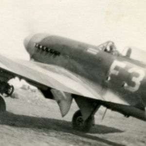 Flight of Typhoon Ib SW393 and Squadron Leader J R Beirnes on 1945-06-01