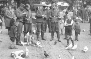 53rd (Welsh) Infantry Division (UK) fought to release 's-Hertogenbosch day 3